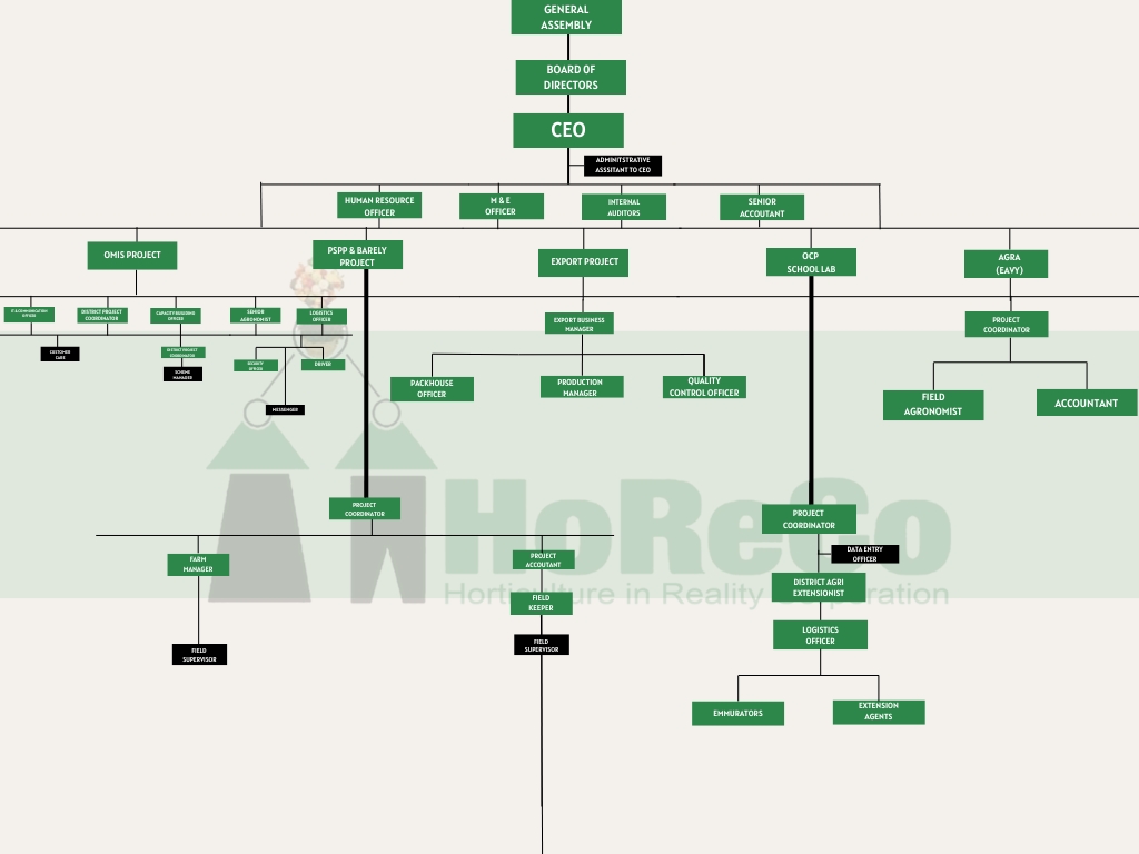 Geometry Minimalist Company Structure Organizational Graph